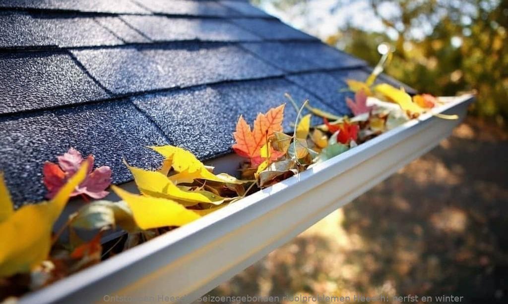 Seizoensgebonden rioolproblemen Heesch: herfst en winter